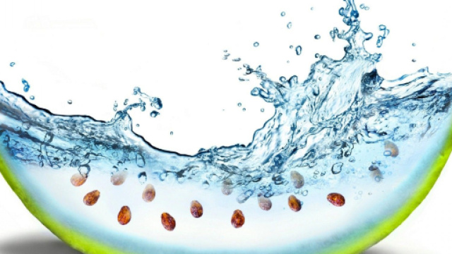 Oroscopo di Ferragosto, 15 agosto: Leone al top, Scorpione a riposo