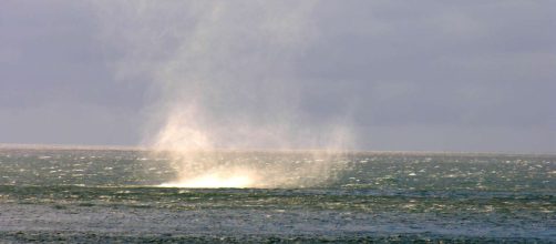 Photo: Whirlpool in the Barents Sea - Norway - all-free-photos.com