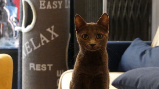 10 nouvelles adresses originales à tester à Rennes - Office de ... - tourisme-rennes.com