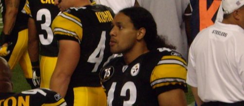 Troy Polamalu was the 2010 Defensive Player of the Year. [Image Source: Flickr | wstera2]