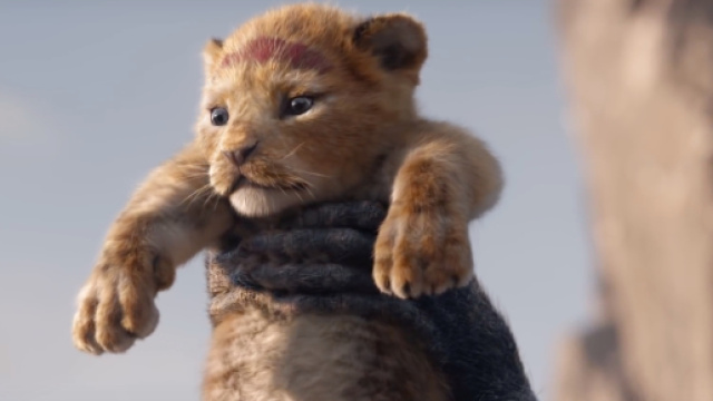 Il Re Leone al cinema il 21 agosto