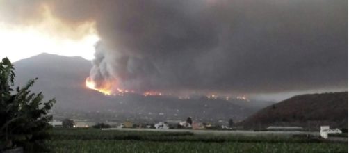 Isole Canarie, incendio devasta Gran Canaria, distrutti mille ettari di bosco, mille le persone evacuate