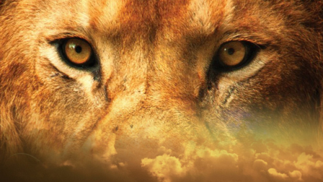 L'oroscopo di domani 14 agosto