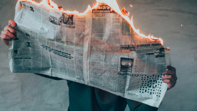 metier les plus insolites du monde