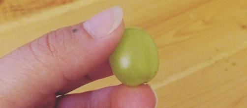 Criança de 5 anos engasga com uva. (Reprodução/Facebook/Laura Lou Chambers)