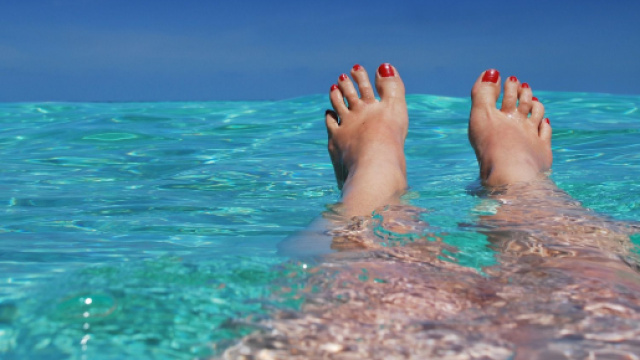 Buon Ferragosto 2019: immagini e frasi d'auguri - StudentVille - studentville.it