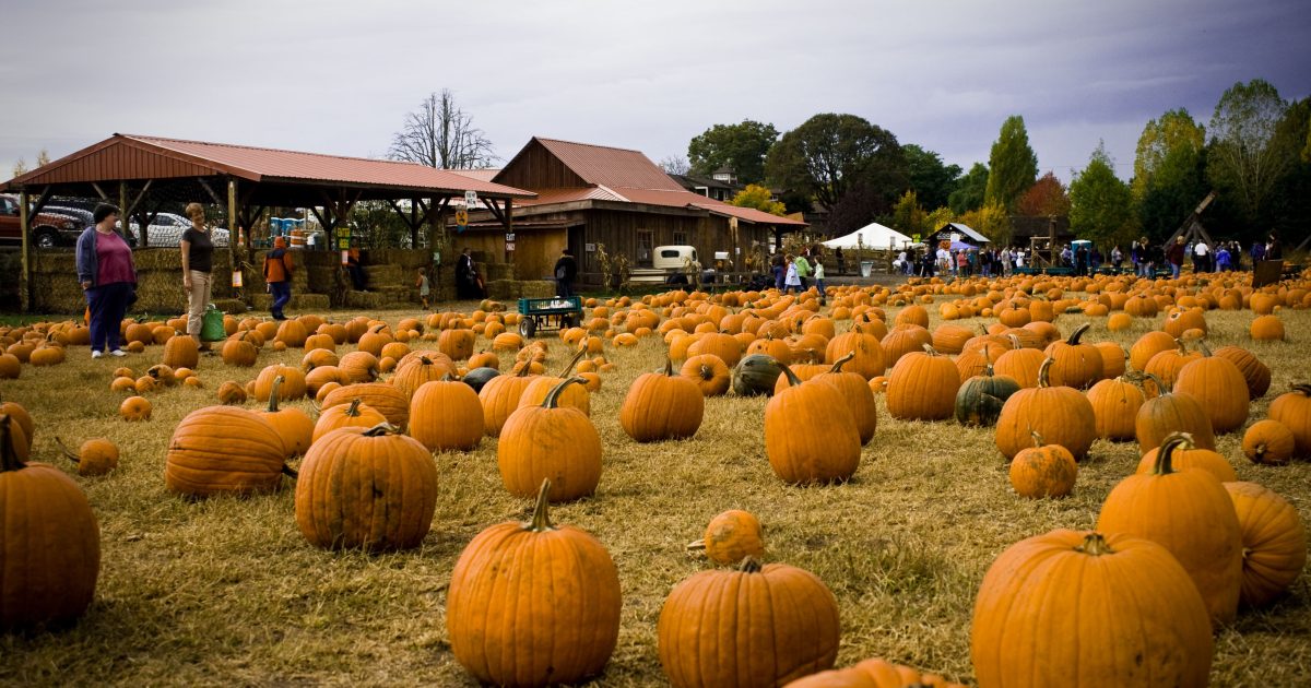 'LPBW': Roloff Farms Pumpkin Season 2019 opens October 4