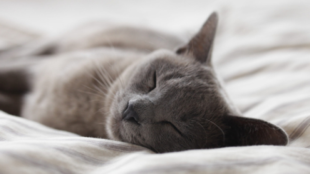 Dormir plus intelligemment : 19 astuces pour am&eacute;liorer votre ... - medium.com