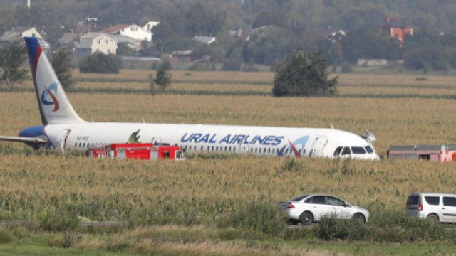 Mosca, stormo di uccelli nei motori: aereo atterra nei campi | tgcom24.mediaset.it