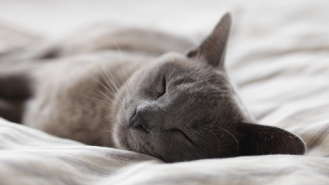 Dormir plus intelligemment : 19 astuces pour améliorer votre ... - medium.com