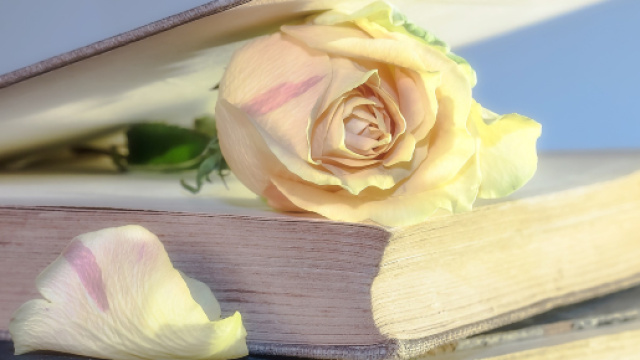 L'oroscopo dell'amore di coppia 19 agosto