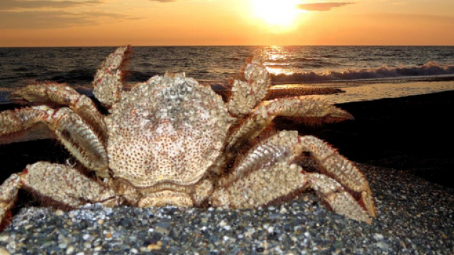 Oroscopo 3 agosto: buone idee per Cancro, calo fisico per Leone