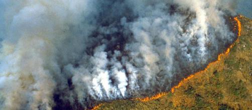 Fires could turn Amazon rainforest into a desert as human activity ... - independent.co.uk