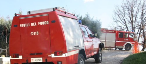 Tuturano, incendio in un canneto: animali tratti in salvo dai vigili del fuoco.