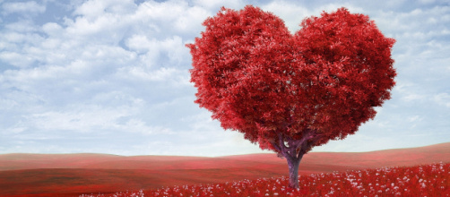 Previsioni astrologiche, classifica sull'amore di settembre 2019: convivenze per Toro, Capricorno galante.