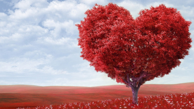 Previsioni astrologiche, classifica sull'amore di settembre 2019: convivenze per Toro, Capricorno galante.