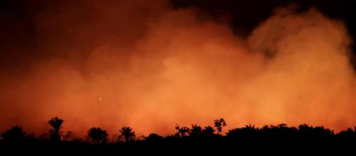 Incêndios na Amazônia têm sido constantes. (Arquivo Blasting News)