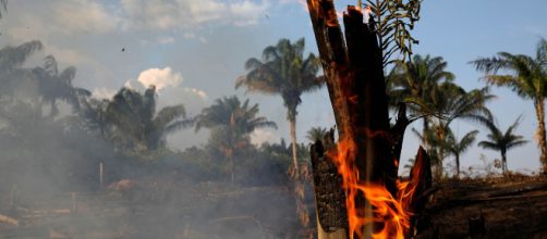 El Amazonas lleva ardiendo más de 15 días.