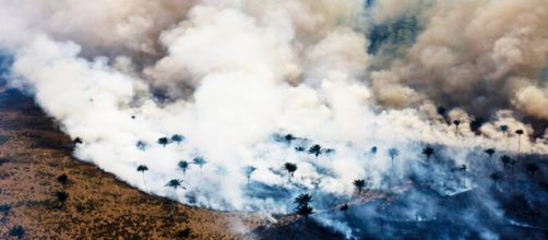 Il terribile incendio che sta devastando la Foresta amazzonica.