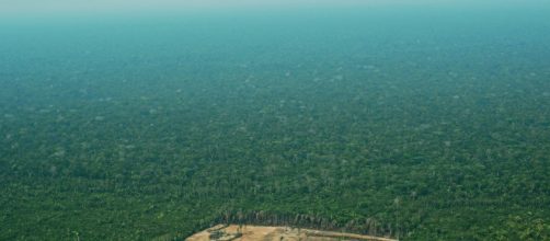 L'Amazzonia brucia: il disastro è sempre più vicino