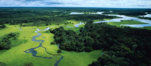 Allarme deforestazione per l'Amazzonia: ecco perché il polmone ... - meteoweb.eu