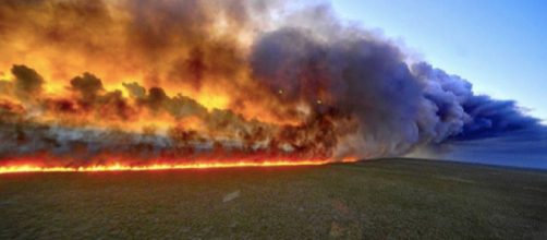 Continuano a bruciare migliaia di alberi dell'Amazzonia