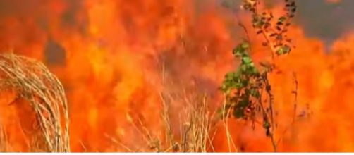 Record wildfires rage in Amazon rain forest. [Image source/ABC News YouTube video]
