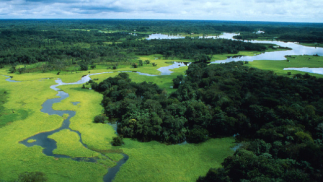Allarme deforestazione per l'Amazzonia: ecco perch&eacute; il polmone ... - meteoweb.eu