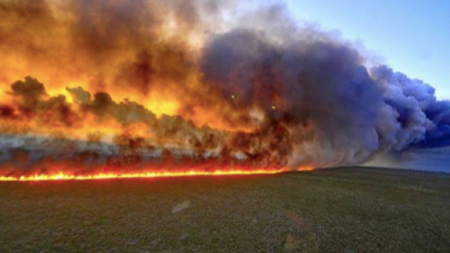 Continuano a bruciare migliaia di alberi dell'Amazzonia