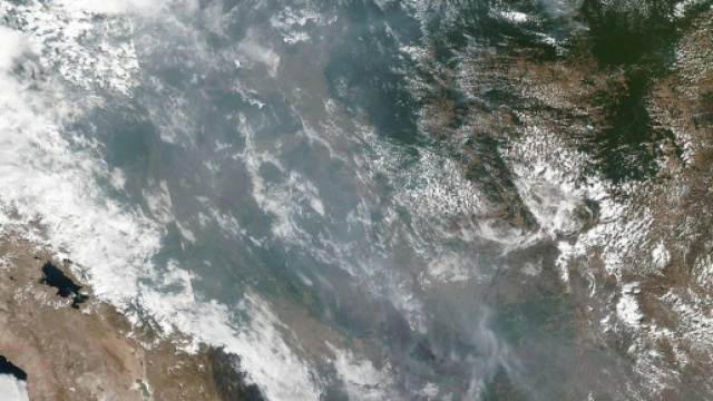 Scontro tra Bolsonaro e Macron sull'Amazzonia - Lettera43 - lettera43.it