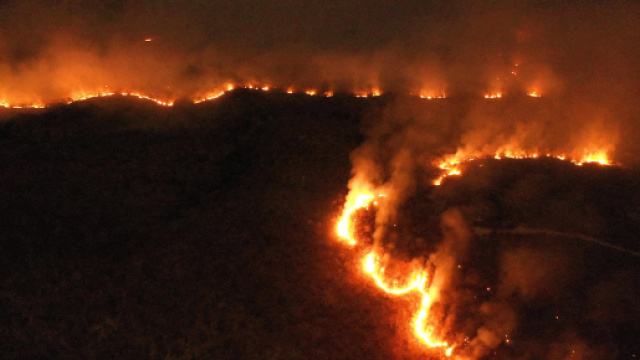 Amazzonia: Europa e Stati Uniti pronti ad aiutare, Bolsonaro invia l'esercito