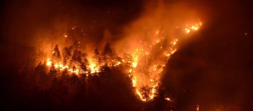 Ancora incendi in Piemonte - Città Nuova - Città Nuova - cittanuova.it