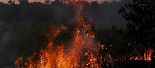 Os 50 investigados seriam responsáveis somente pelos incêndios ocorridos no Pará. (Arquivo Blasting News)