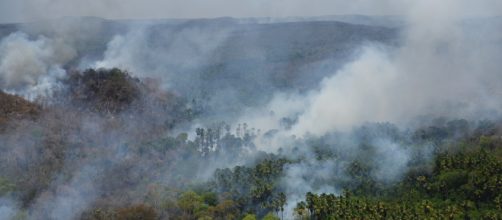 Incêndios na floresta amazônica repercutiram no mundo. (Arquivo Blasting News)