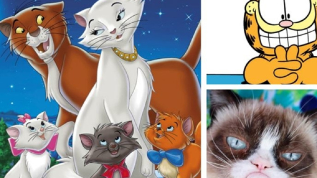 Top 8 des chats célèbres pour la journée internationale des chats