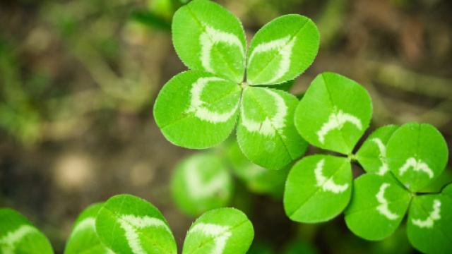 Previsioni oroscopo settimanale dal 16 al 22 settembre 2019