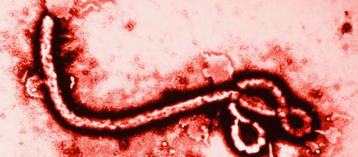 Explosión de un laboratorio que guardaba virus como el ébola en Siberia