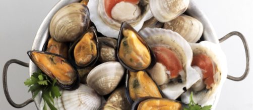 Salute: cozze e tonno affumicato ritirati per rischio salmonella e sindrome sgombroide