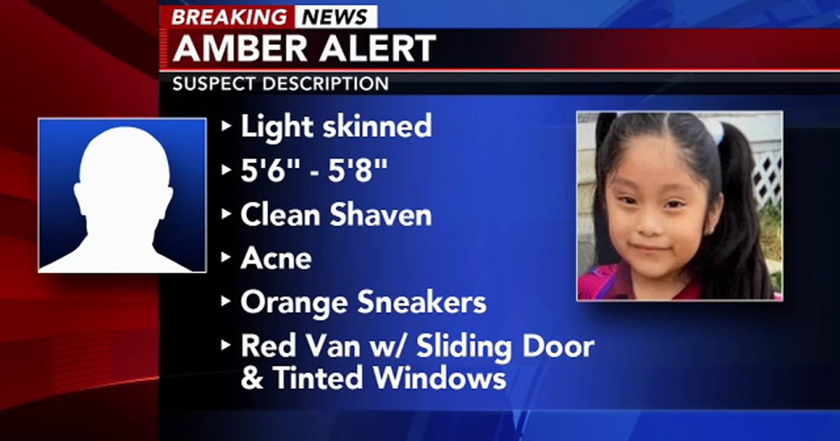 New Jersey, scomparsa bimba di 5 anni: sarebbe stata fatta salire su un  furgone al parco