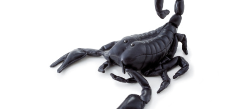 Oroscopo ottobre, Scorpione: sarete fra i favoriti del mese