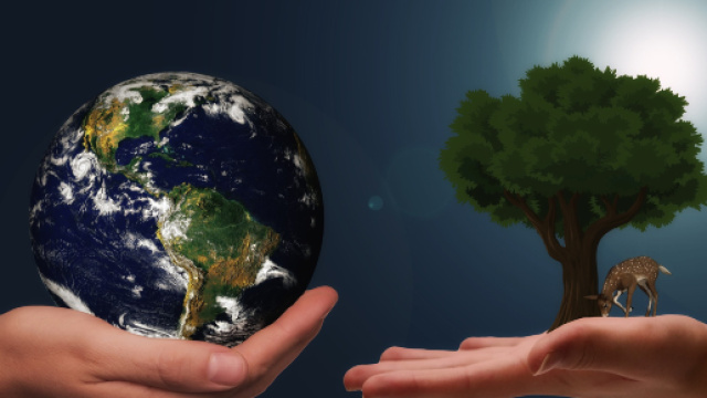 Decreto clima: bonus per auto rottamate e sconti per chi sceglie prodotti sfusi