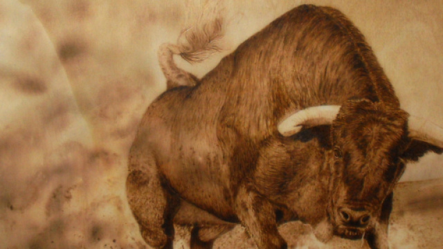 L'oroscopo di ottobre, Toro: mese fortunato in ambito lavorativo