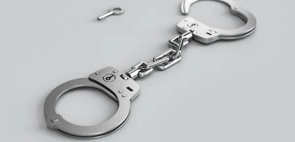 Representative image of arrest of Bihar techie- Photo -(image credit-pixabay.com)