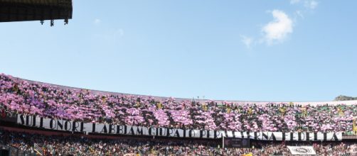 Il Palermo chiama i tifosi: allenamento a porte aperte allo stadio ... - stadionews.it