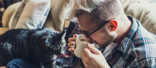 Adopter un chat rend heureux : 7 bonnes raisons de se lancer - dubonheuretdeslivres.com