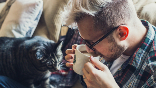 Adopter un chat rend heureux : 7 bonnes raisons de se lancer - dubonheuretdeslivres.com