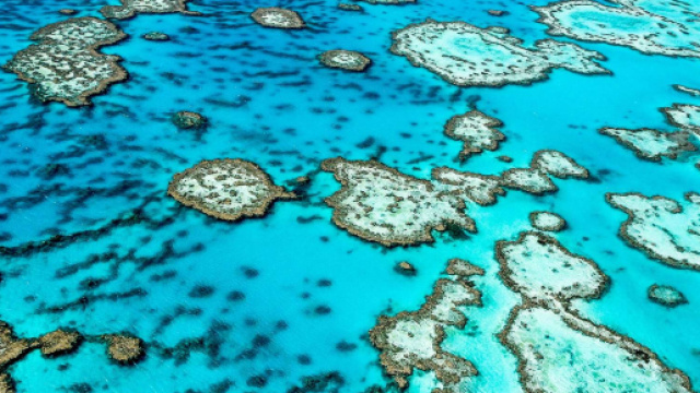Grande Barrière de corail vue du ciel