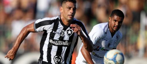 Botafogo terá Diego Souza. (Vitor Silva/SSPress/Botafogo)