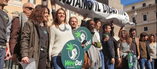 Legalizzazione cannabis: appello dei Radicali a M5S e Pd