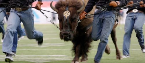 Colorado's mascot wants to avoid the use of the 'N' word [Image via The Denver Post/YouTube]